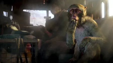 Аренда и прокат Far Cry 4 + Far Cry Primal для PS4 для PS5 Хит